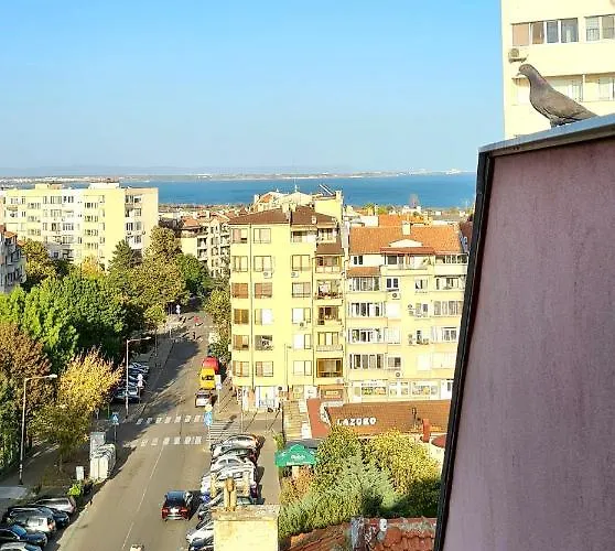 Sea Vibes With Great Terrace And Sea View *