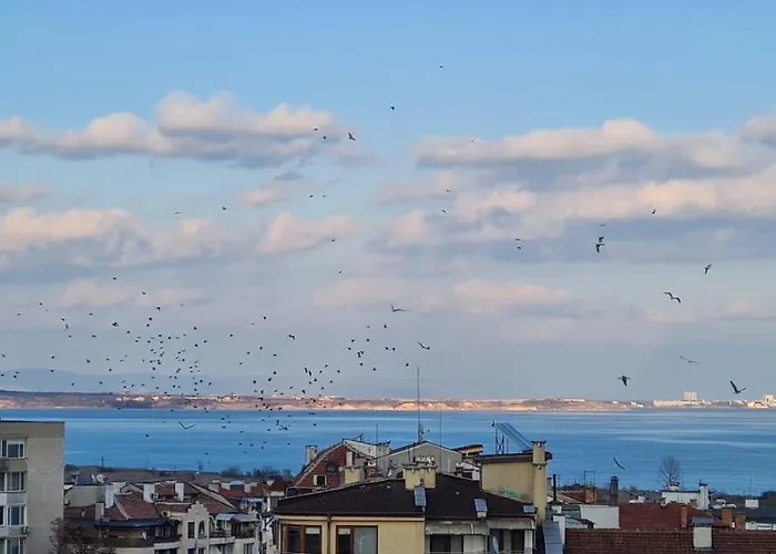 Sea Vibes With Great Terrace And Sea View Apartment *
